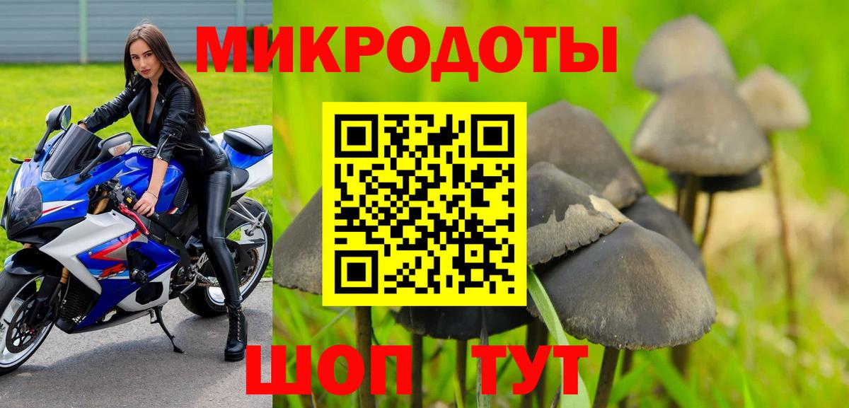 Псилоцибиновые грибы Psilocybe Родники