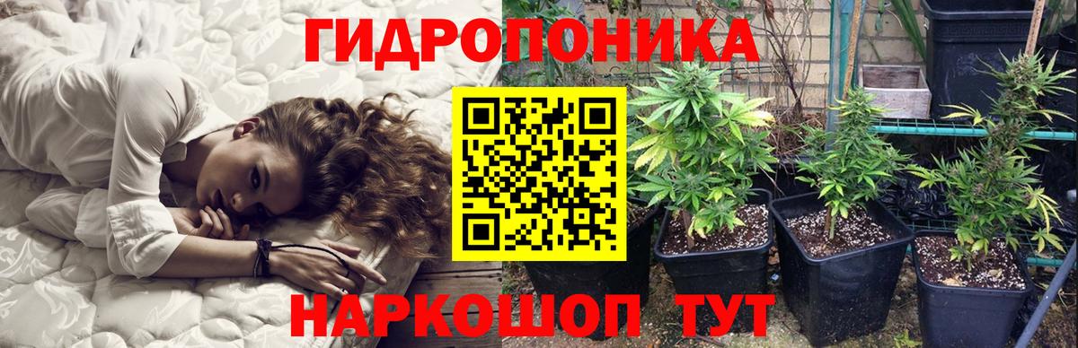 Бошки марихуана планчик Родники